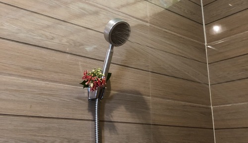 Traditional Bungalow