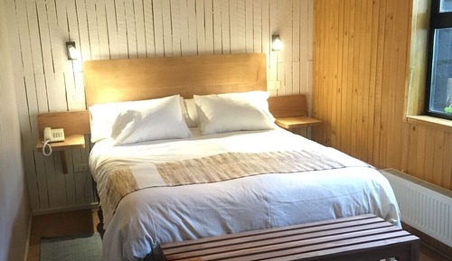 Basic Double Room
