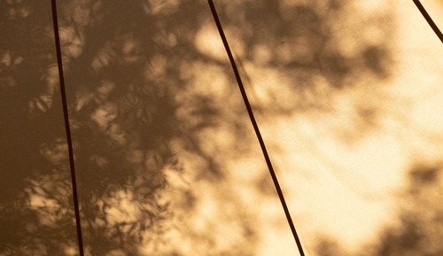 Glamping - Bell tent