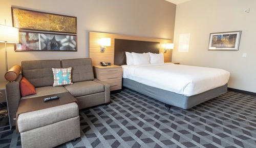 Studio, 1 King Bed with Sofa bed