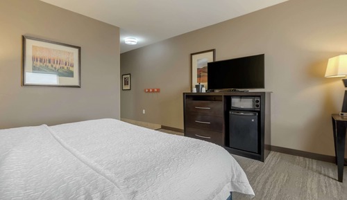 Room, 1 King Bed, Accessible, Non Smoking