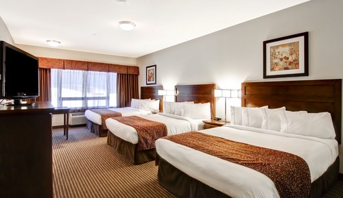 Standard Room (3 Queen Beds)