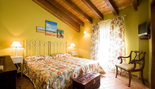 Room (Olivo)