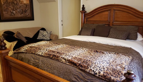 The Forest View Room