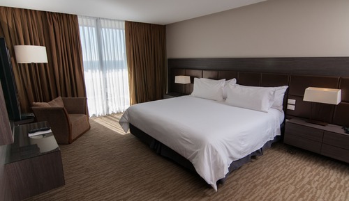 Deluxe Room, 1 King Bed, Non Smoking