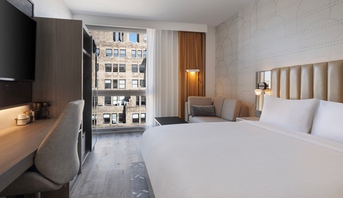 Room, 1 King Bed with Sofa bed