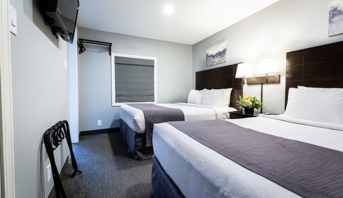 Executive Suite, Multiple Beds (EXECUTIVE SUITE ROOM)