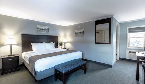 Standard Room, 1 King Bed (STANDARD KING ROOM)