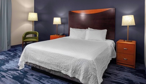 Room, 1 King Bed