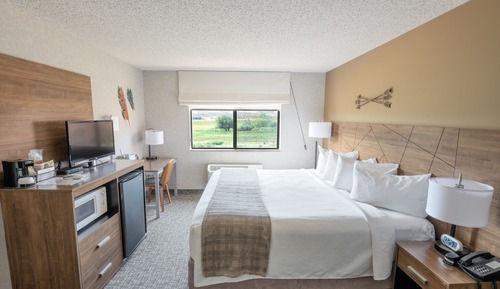 Traditional Room, 1 King Bed, Refrigerator, Mountain View