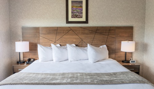 Junior Suite, 1 King Bed with Sofa bed, Jetted Tub, Mountain View