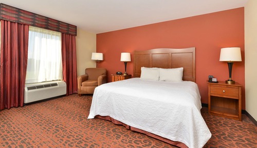 Room, 1 King Bed, Accessible, Non Smoking