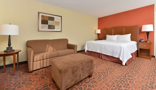 Room, 1 King Bed, Accessible, Non Smoking