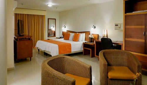 Standard Room, 1 King Bed, Accessible