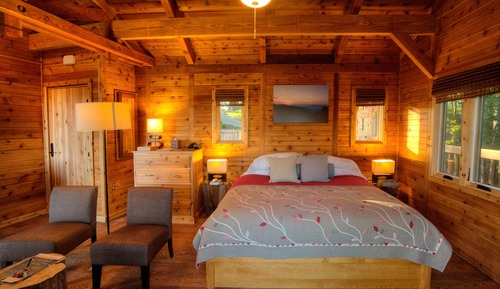 Tree House, 1 King Bed (Barn Owl, Adults Only)