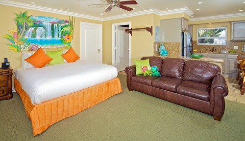 Luxury Mini Suite, 1 King Bed with Sofabed