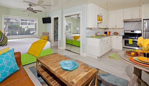 Deluxe Mini Suite