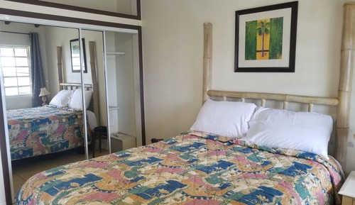 Basic Apartment