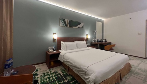 Room, 1 King Bed (Elegant)