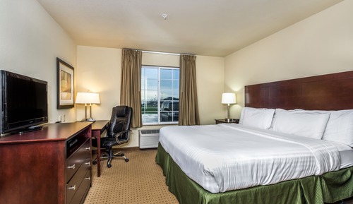 Room, 1 King Bed, Accessible Roll in Shower, Non Smoking