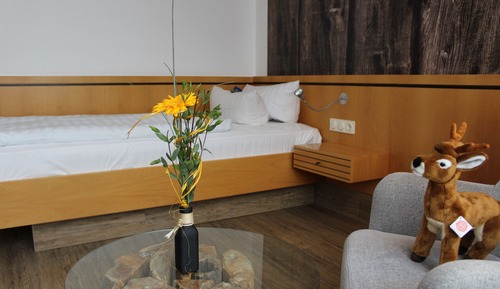 Superior Single Room
