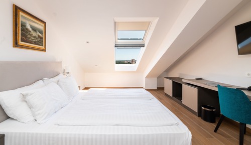 Basic Double Room