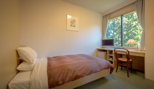 Single Room, Non Smoking (Response to our email is required)