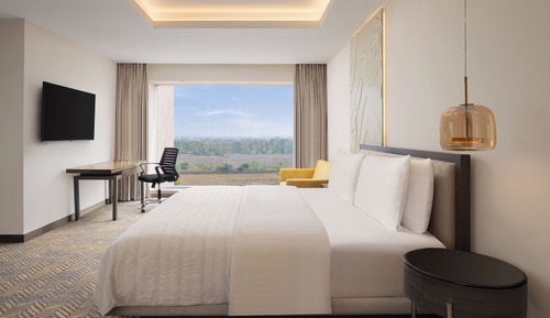 Superior Room, 1 King Bed, Non Smoking, City View