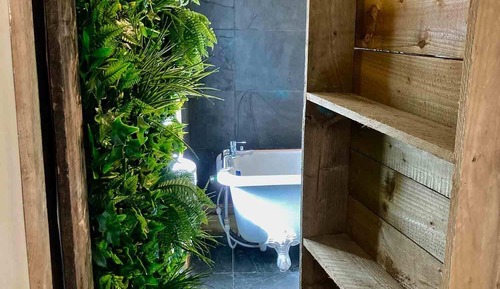 Twin Room, Private Bathroom (The Forest Store)