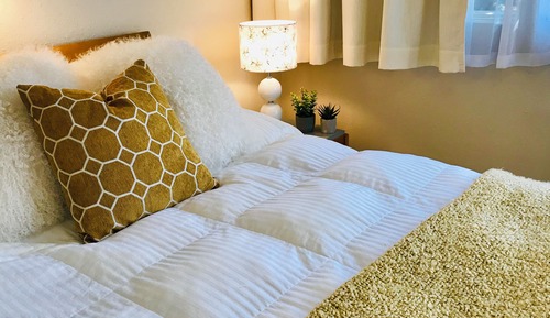 Economy Single Room