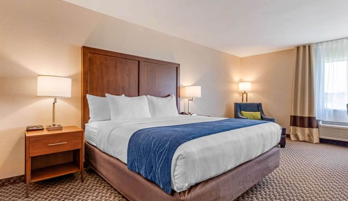Standard Room, 1 King Bed, Non Smoking