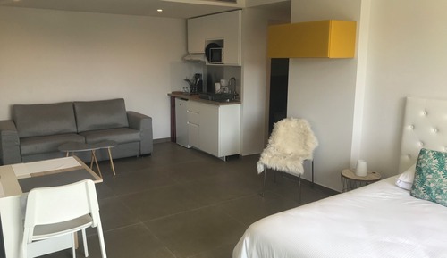 Premium Studio Suite, Mountain View