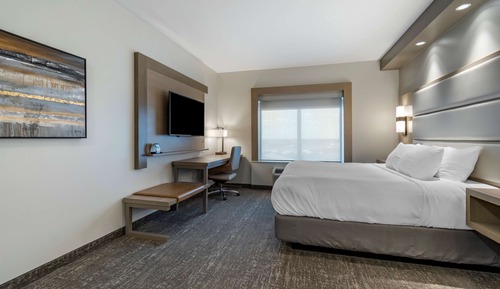 Suite, 1 King Bed, Non Smoking, Refrigerator & Microwave (with Sofabed)
