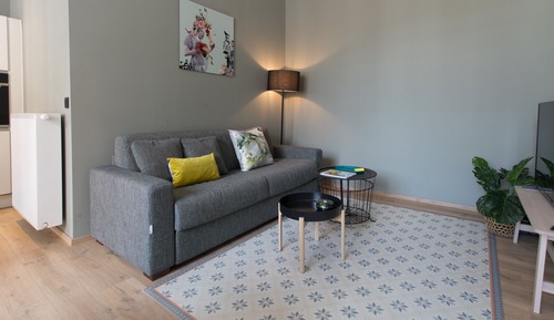 Basic Apartment