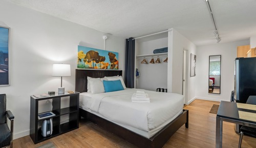 Chic Premium Studio Apartment LT