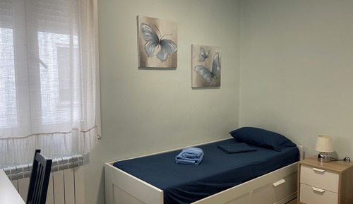 Economy Single Room, 1 Twin Bed