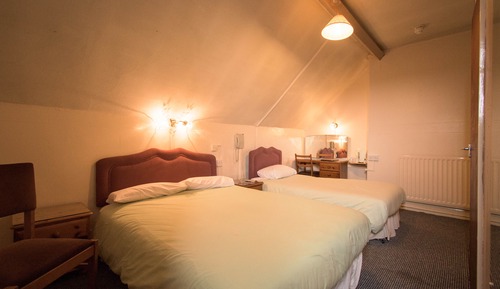 Standard Family Room (Sleeps 3)