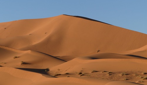 Standard Tent (3 Adults)