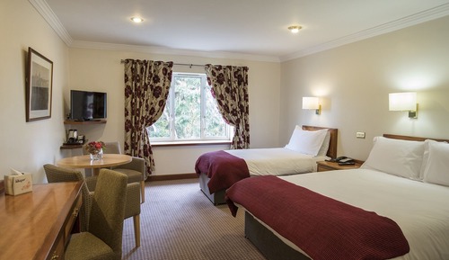 Double or Twin Room