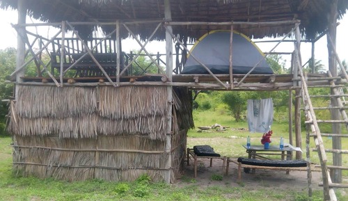 Basic Tent