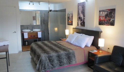 Elite Double Room, Mountain View