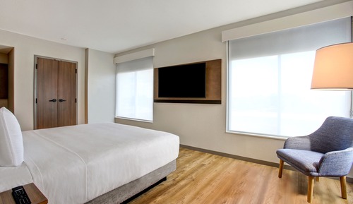 Suite, 1 Bedroom, Kitchen