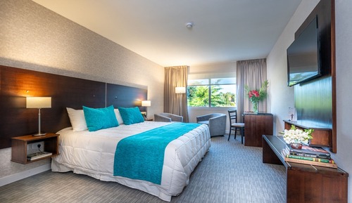 Superior Room, 1 King Bed