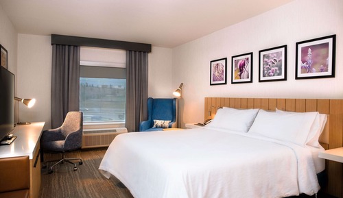 Room, 1 King Bed