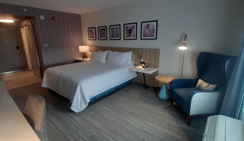 Room, 1 King Bed, Accessible, Bathtub (Hearing)