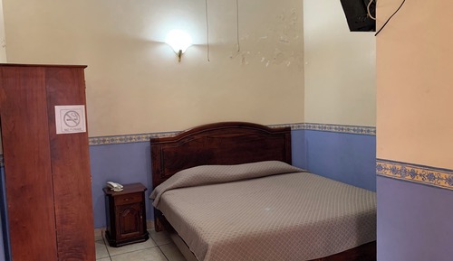 Standard Suite (Four beds)