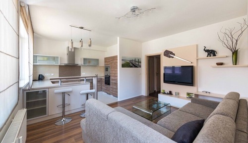 Standard Apartment
