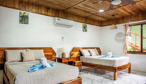 Economy Room, Garden Area