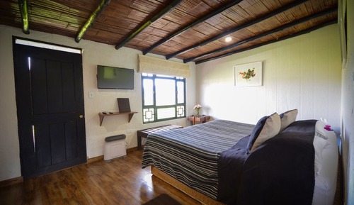 Double Room, 1 King Bed (Pesebrera)