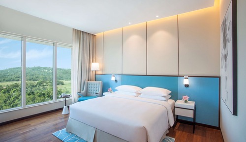Room, 1 King Bed